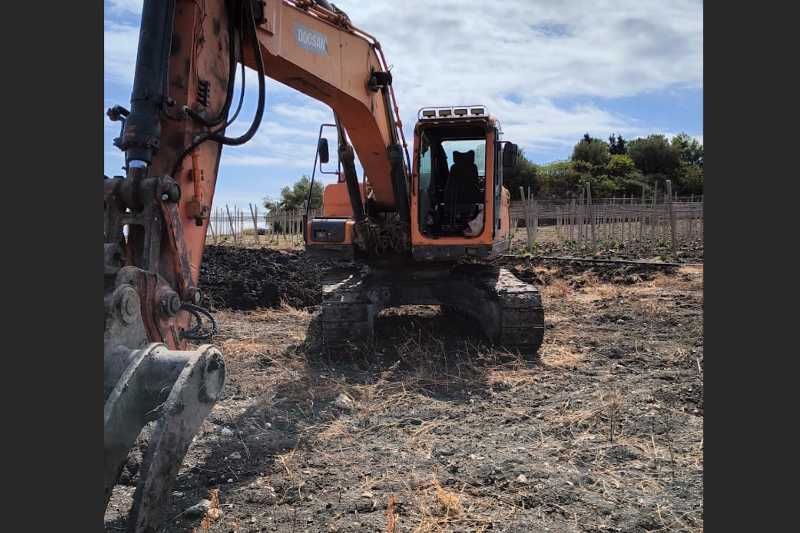 OmecoHub - Immagine DOOSAN DX225NLC